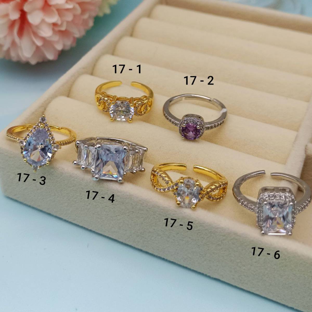ANILLO N°17